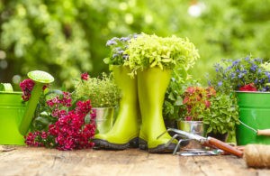 Outdoor gardening tools on old wood table