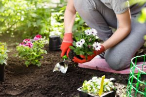 The-Complete-List-of-the-Best-Gardening-Gifts-for-Mom-1536x1024